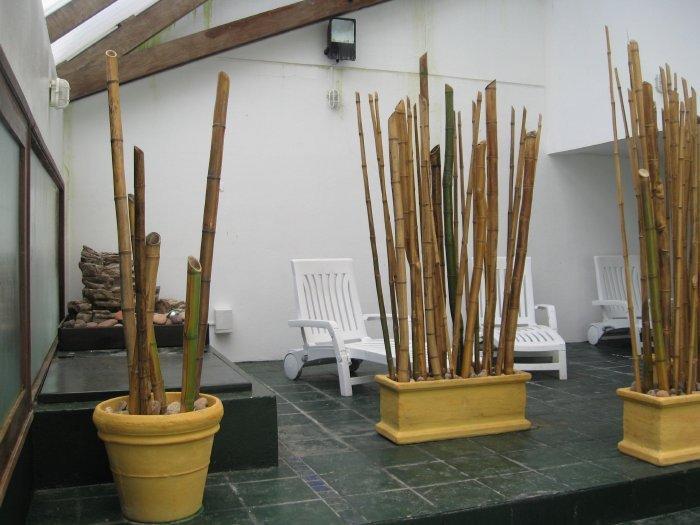 Club Sol Del Este Apart otel Punta del Este Dış mekan fotoğraf